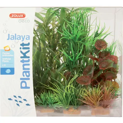 Jalaya n°2 plantes artificielles 6 pieces
