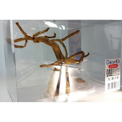 Décor kit Idro racine n° 3 dimension 28.5 x 18 x Hauteur 19.5 cm