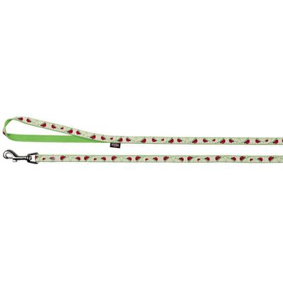 Collier réglable de 22 à 33 cm, couleur phosphorescent avec laisse chat