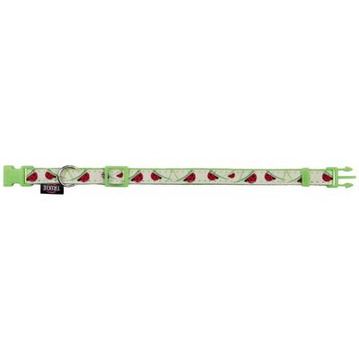 Collier réglable de 22 à 33 cm, couleur phosphorescent avec laisse chat