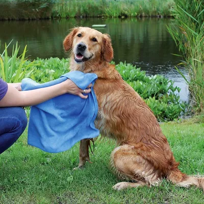 animallparadise - Une Serviette séchante  50 x 60 cm pour animaux