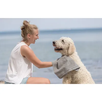 animallparadise - Serviette absorbante  66 x 43 cm pour chien