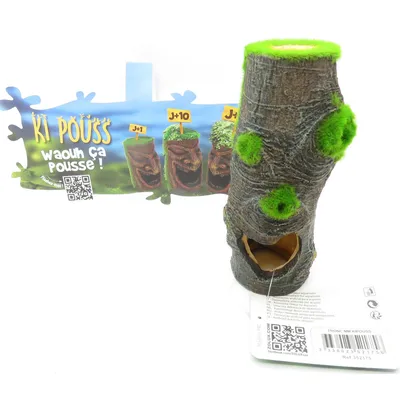 Tronc moyen modèle. ki pouss. 6.4 x 5.5 x 13.9 cm. décoration