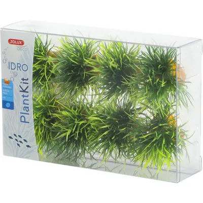 8 petits buissons déco plant kit idro