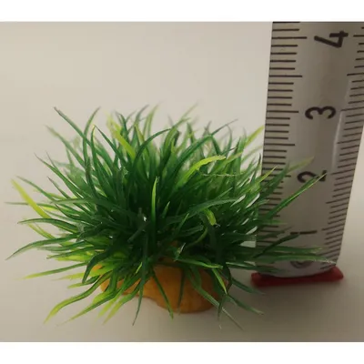 8 petits buissons déco plant kit idro