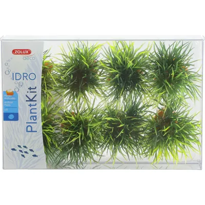 8 petits buissons déco plant kit idro