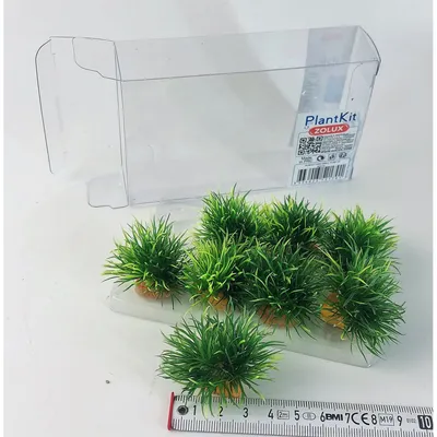 8 petits buissons déco plant kit idro