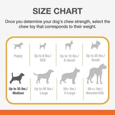 Nylabone Jouet à mâcher pour chiens