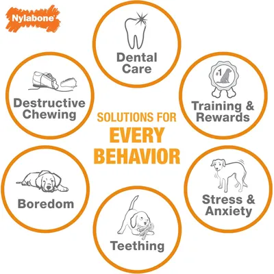 Nylabone Jouet à mâcher pour chiens