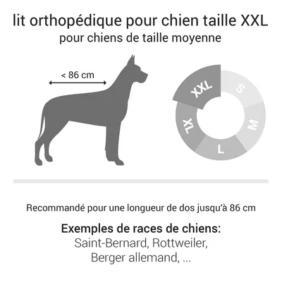 Doctor Bark Lit pour chien orthopédique Doctor Bark Lit pour chien orthopédique