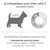 Doctor Bark Lit pour chien orthopédique