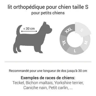 Doctor Bark Lit pour chien orthopédique
