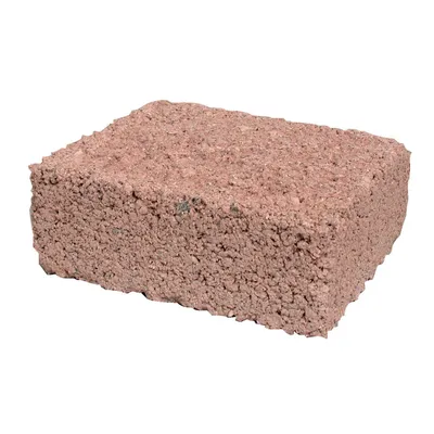 Bloc sels minéraux 1 kg coqselor pour volaille et oiseaux