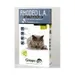 GREENVET - RHODEO L.A. Antiparasitäre Pipette für Katzen von 1 bis 5 kg -