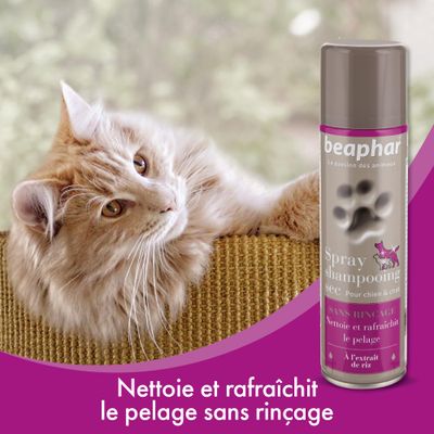 BEAPHAR - Shampoing sec