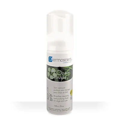 DERMOSCENT - PYOCLEAN MOUSSE CHIEN ET CHAT - DERMOSCENT