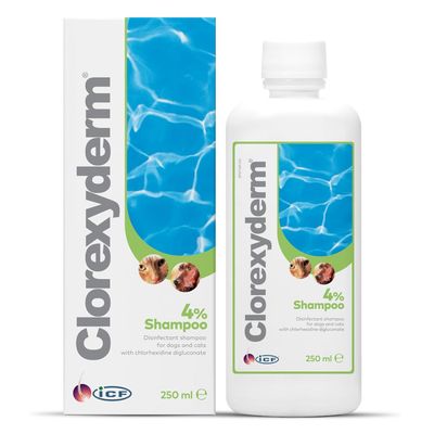 Clorexyderm Shampoo 4 % Konzentrat