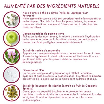 DERMOSCENT - ATOP-7 MOUSSE CHIEN ET CHAT - DERMOSCENT