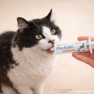 TVM - Pro-Kolin Advanced Chat – Pâte digestive flore intestinale