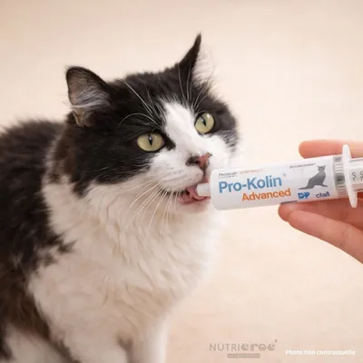 TVM - Pro-Kolin Advanced Chat – Pâte digestive flore intestinale