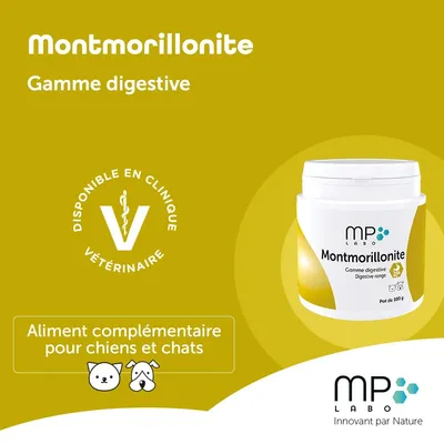 MP LABO - MONTMORILLONITE - MP LABO