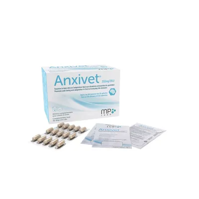 MP LABO - ANXIVET 250 MG/28UI CHIEN ET CHAT - MP LABO