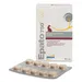 ICF Epato Plus Tabletten