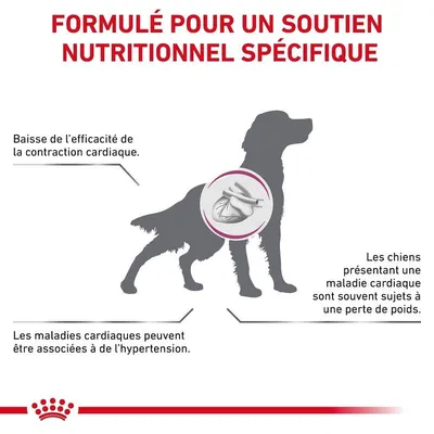 ROYAL CANIN -   chien VET DOG CARDIAC