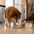 SPECIFIC - Pâtée chien CIW DIGESTIVE SUPPORT (boite 6x300g) SPECIFIC - Pâtée chien CIW DIGESTIVE SUPPORT (boite 6x300g)