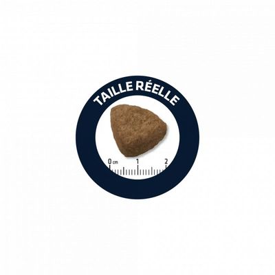 ADVANCE - KROKETTEN FÜR ERWACHSENE MINI-HUNDE - FORTGESCHRITTENE