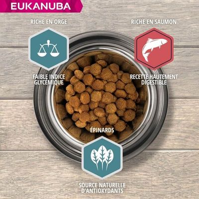 EUKANUBA - Erwachsenen-Hundefutter mit großen Lachsen - Eukanuba