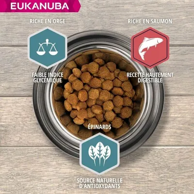 EUKANUBA - Erwachsenen-Hundefutter mit großen Lachsen - Eukanuba