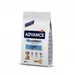 ADVANCE -   CHIEN LIGHT MINI