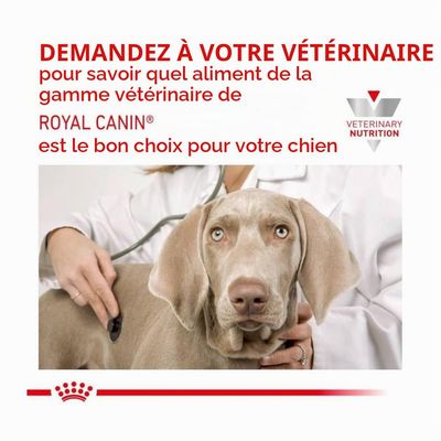 ROYAL CANIN - VETERINÄRE MOBILITÄTSUNTERSTÜTZUNG FÜR HUNDE Trockenfutter f