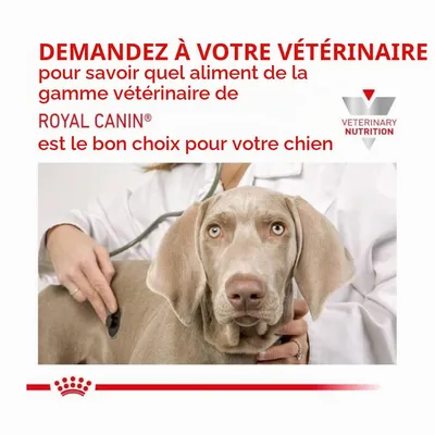 ROYAL CANIN - VETERINÄRE MOBILITÄTSUNTERSTÜTZUNG FÜR HUNDE Trockenfutter f