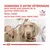 ROYAL CANIN - chien VET DOG MOBILITY SUPPORT ROYAL CANIN - chien VET DOG MOBILITY SUPPORT