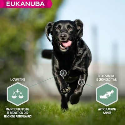 EUKANUBA - Futter für ausgewachsene Hunde mit empfindlichen Gelenken - Euk