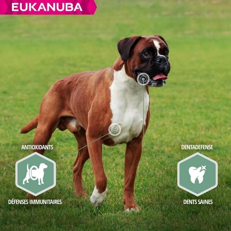 EUKANUBA -   CHIEN ADULT SENSITIVE JOINTS - EUKANUBA
