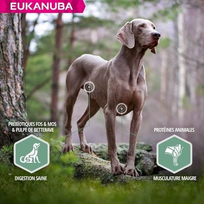 EUKANUBA - Futter für ausgewachsene Hunde mit empfindlichen Gelenken - Euk