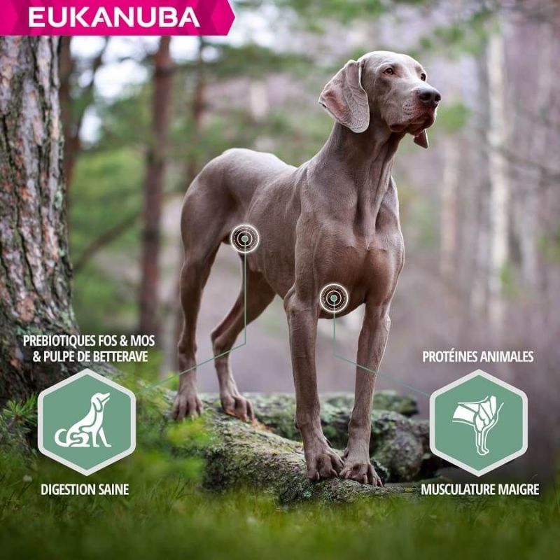 EUKANUBA -   CHIEN ADULT SENSITIVE JOINTS - EUKANUBA