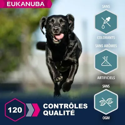 EUKANUBA – Nourriture pour Chien Adulte – Agneau