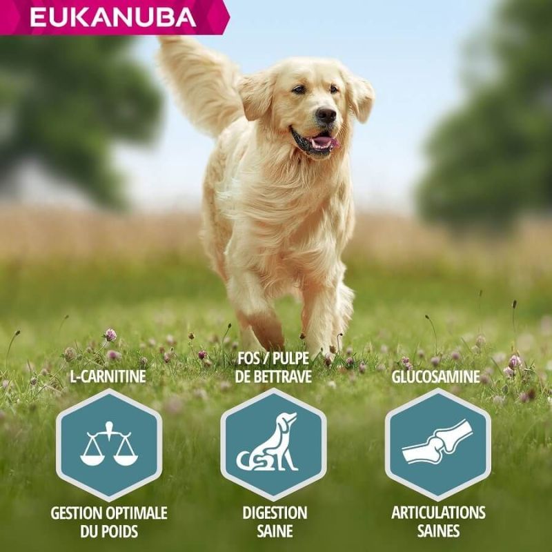 EUKANUBA -   CHIEN ADULT LARGE AGNEAU - EUKANUBA