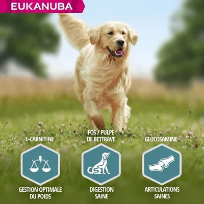 EUKANUBA – Nourriture pour Chien Adulte – Agneau