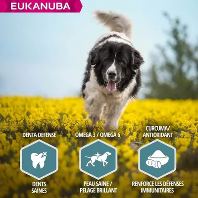 EUKANUBA – Nourriture pour Chien Adulte – Agneau