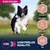 EUKANUBA -   CHIEN SENIOR AGNEAU SMALL / MEDIUM - EUKANUBA