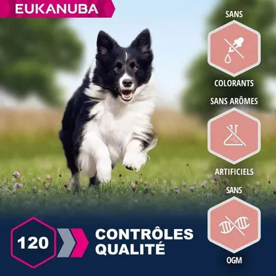 EUKANUBA -   CHIEN SENIOR AGNEAU SMALL / MEDIUM - EUKANUBA