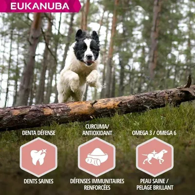 EUKANUBA -   CHIEN SENIOR AGNEAU SMALL / MEDIUM - EUKANUBA