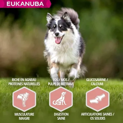 EUKANUBA -   CHIEN SENIOR AGNEAU SMALL / MEDIUM - EUKANUBA