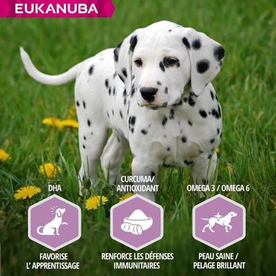 EUKANUBA -   CHIEN PUPPY JUNIOR AGNEAU LARGE - EUKANUBA