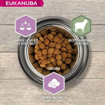 EUKANUBA -   CHIEN PUPPY JUNIOR AGNEAU LARGE - EUKANUBA